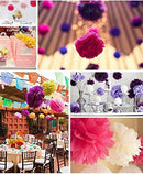 DIY Decorative Tissue Paper Pom-poms 10pcs Flowers Ball Perfect for Party Wedding Home Outdoor Decoration (4-inch Diameter, Silver) - themeprintparty