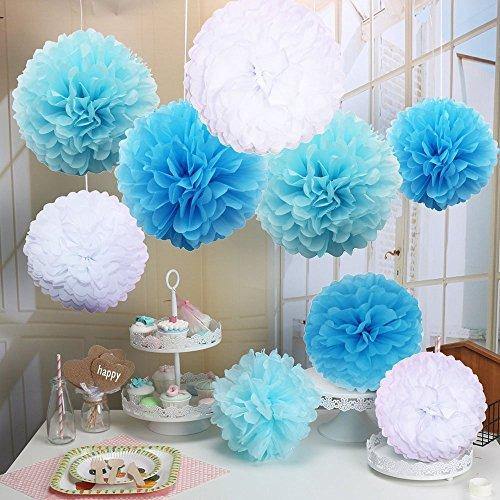 25PCS Paper Pom Poms for DIY Crafts Tissue Paper Flowers Large Small  Hanging Flowers Pom Poms for Baby Shower Party Decorations Wedding Backdrop  Birthday Party Christmas Home Decor Blue Mix 25pcs Paper