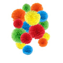 Tissue Paper Pom Poms Rainbow Paper Flowers for Party Decorations - 15 Pcs of 8,10,14 Inch - themeprintparty