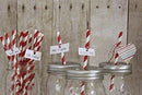 Decorative Striped Paper Straws (100pcs, Striped, Gray) - themeprintparty